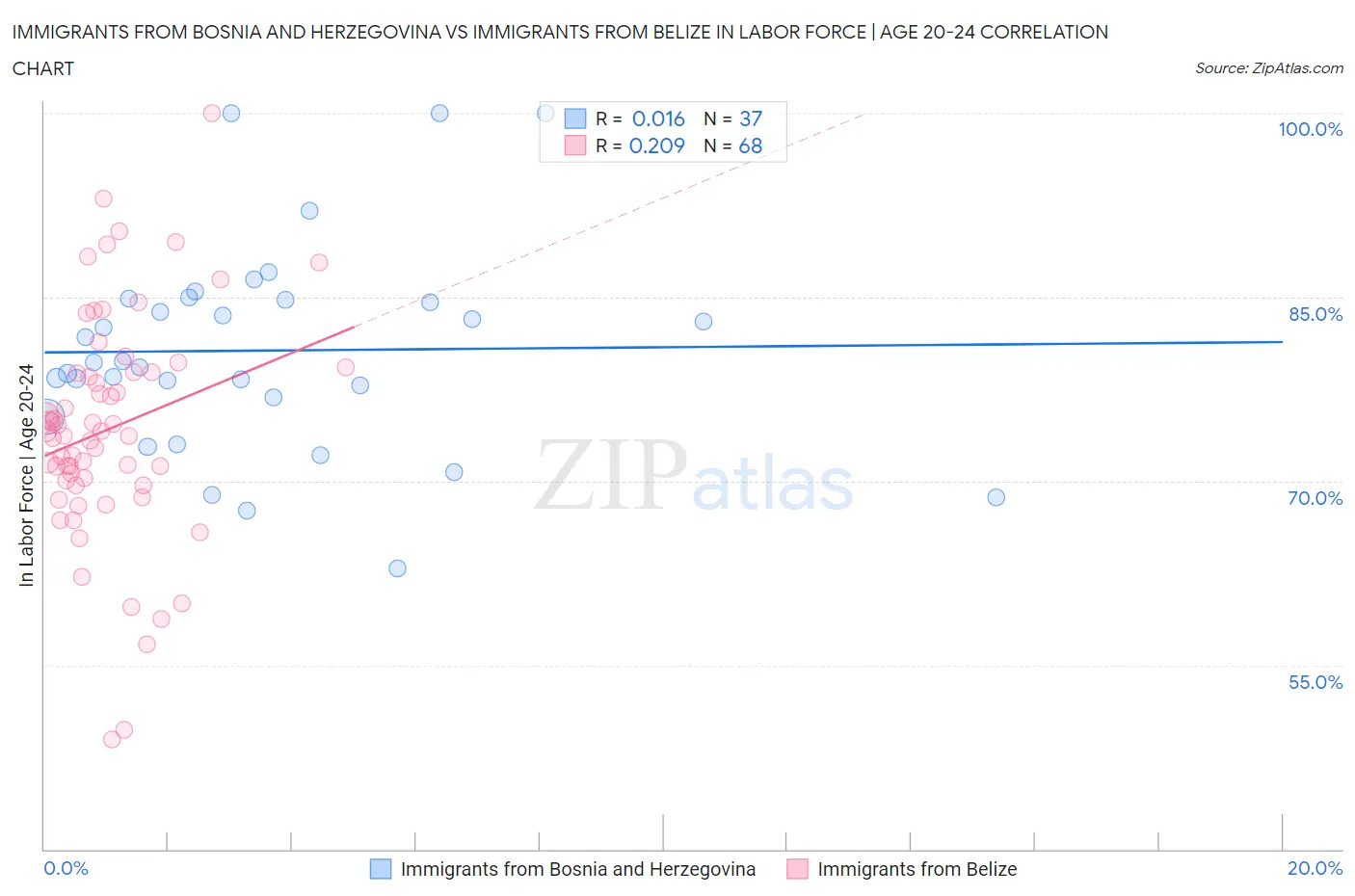 Immigrants from Bosnia and Herzegovina vs Immigrants from Belize In Labor Force | Age 20-24