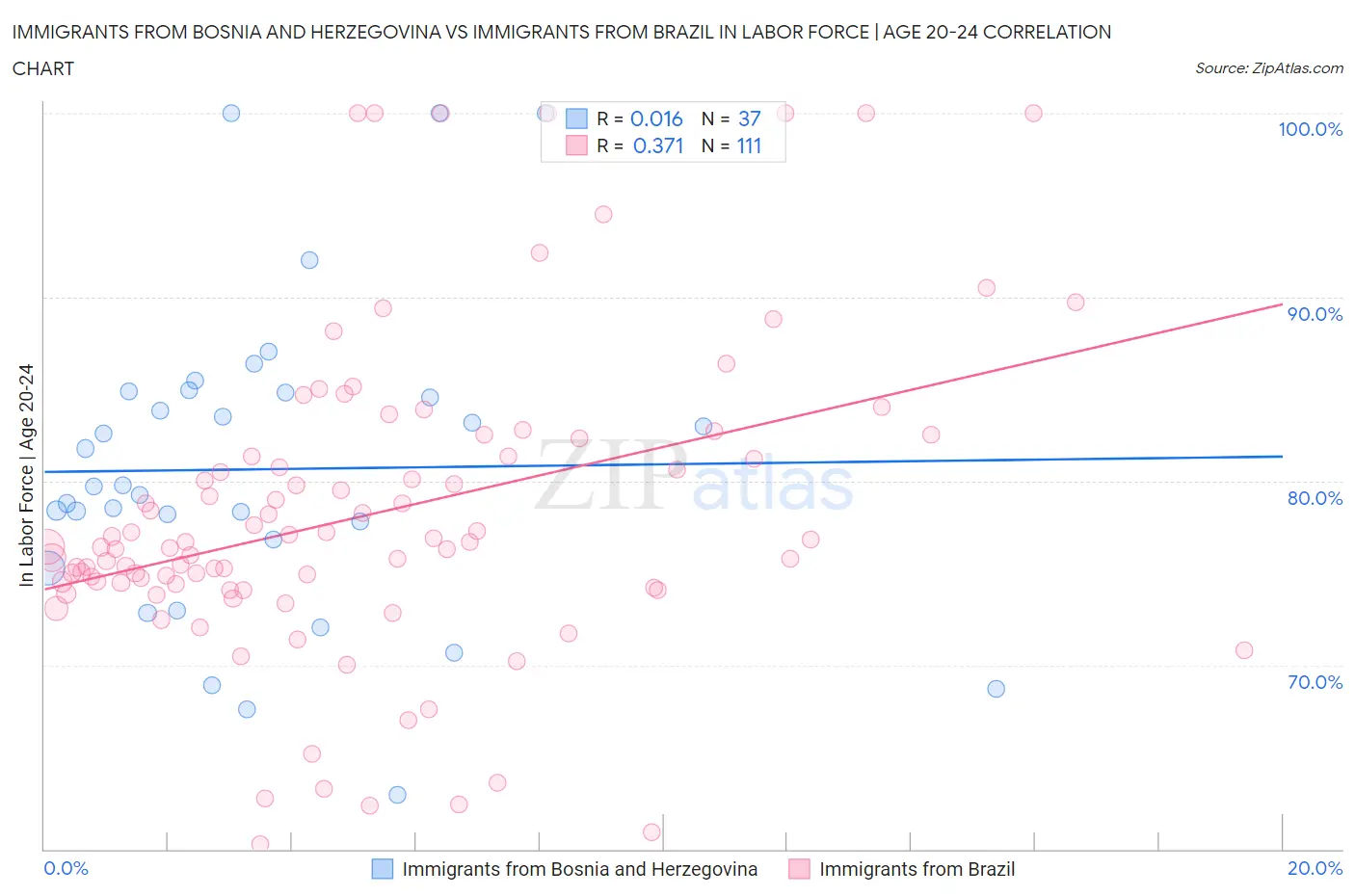 Immigrants from Bosnia and Herzegovina vs Immigrants from Brazil In Labor Force | Age 20-24