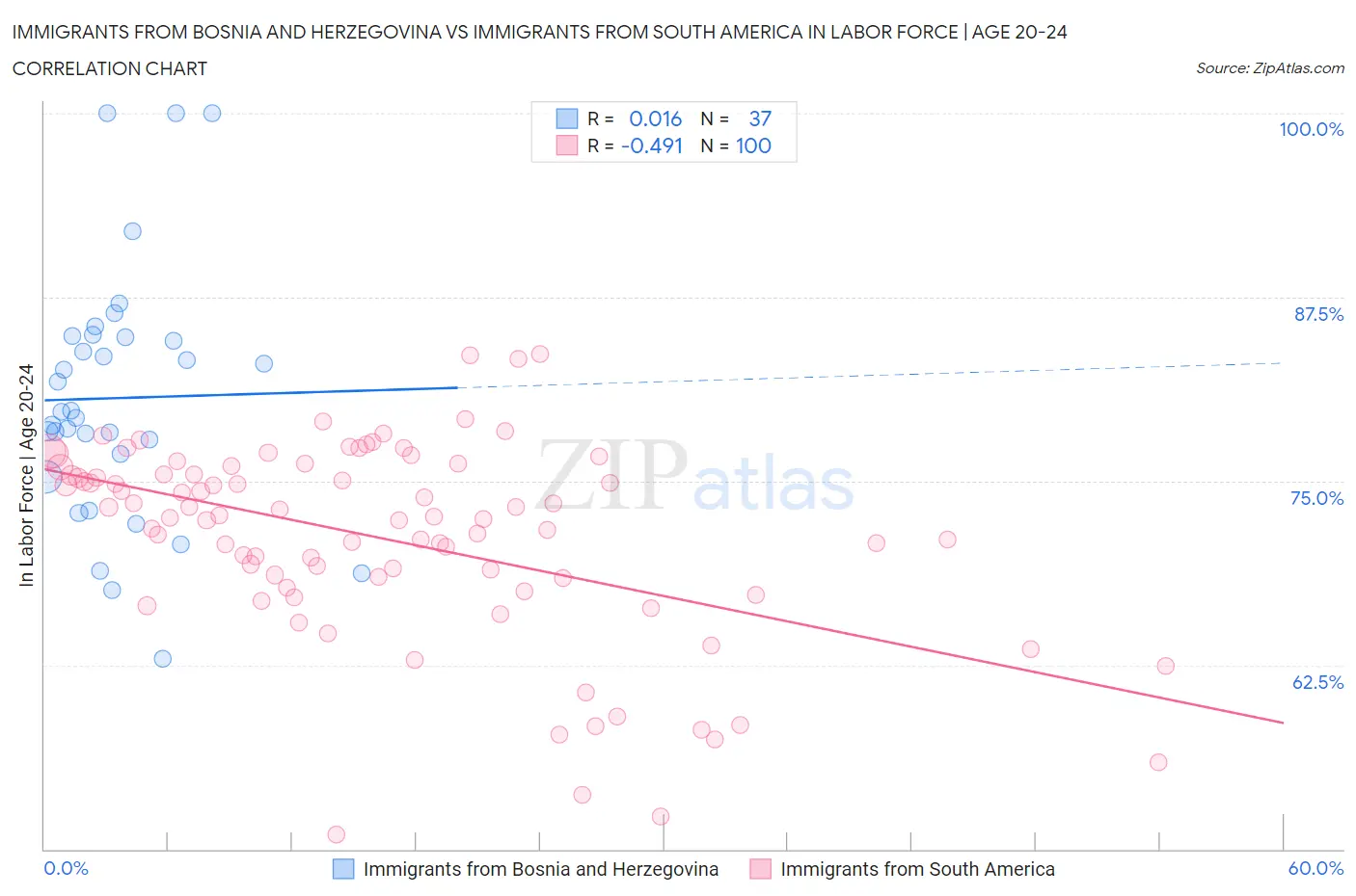 Immigrants from Bosnia and Herzegovina vs Immigrants from South America In Labor Force | Age 20-24