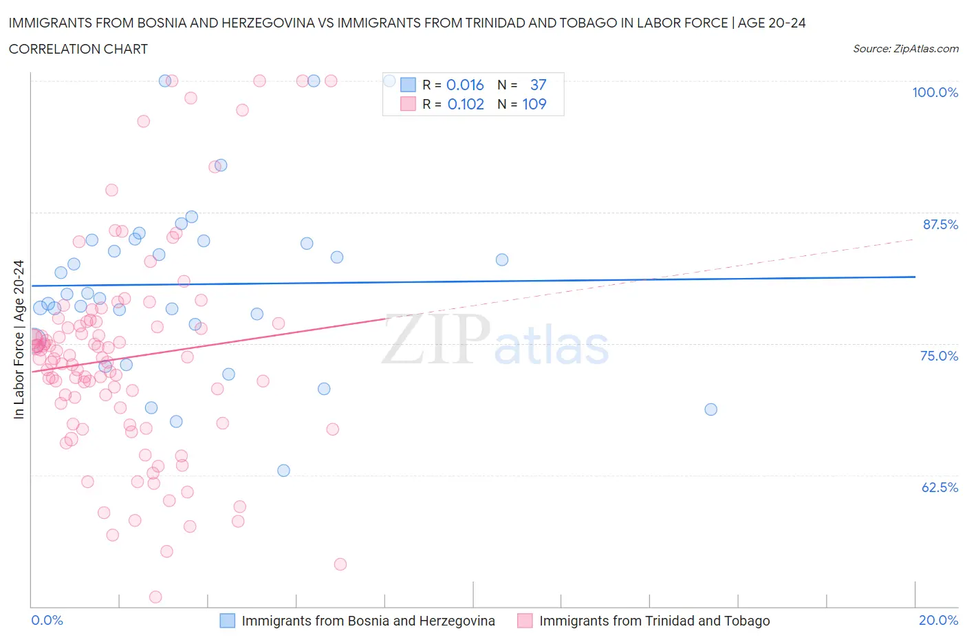 Immigrants from Bosnia and Herzegovina vs Immigrants from Trinidad and Tobago In Labor Force | Age 20-24