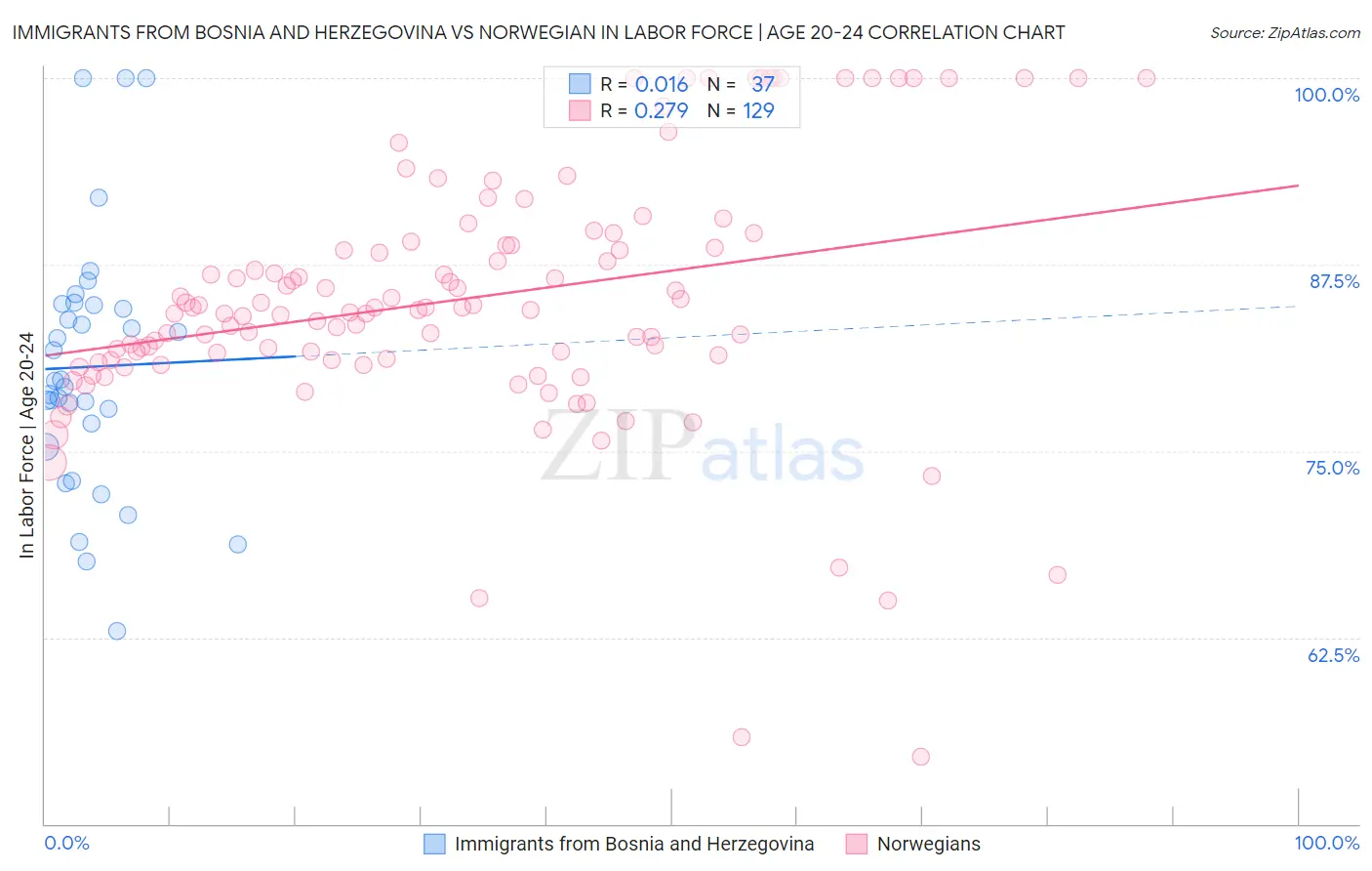 Immigrants from Bosnia and Herzegovina vs Norwegian In Labor Force | Age 20-24