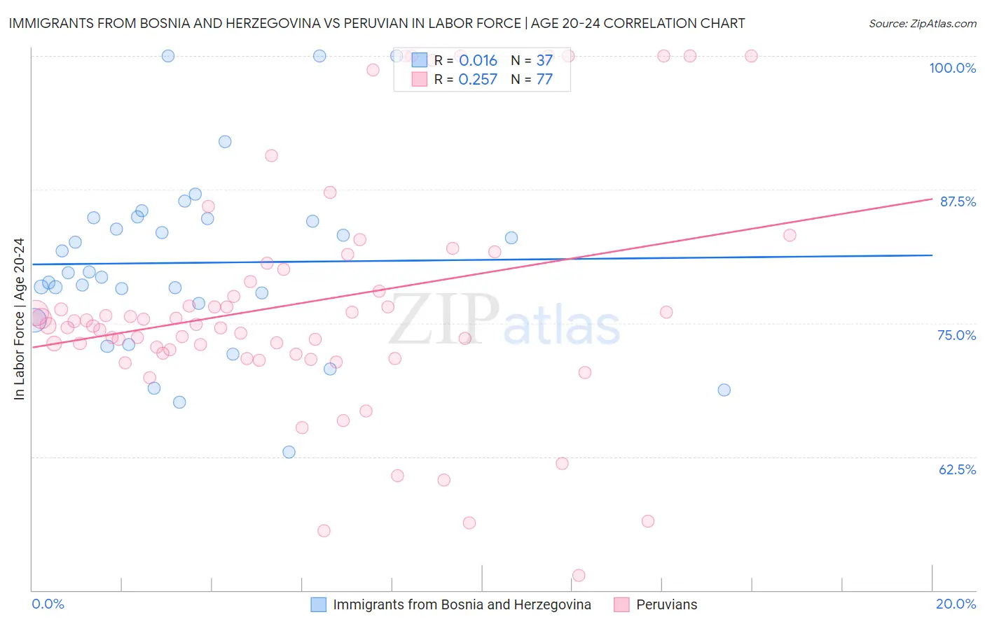 Immigrants from Bosnia and Herzegovina vs Peruvian In Labor Force | Age 20-24