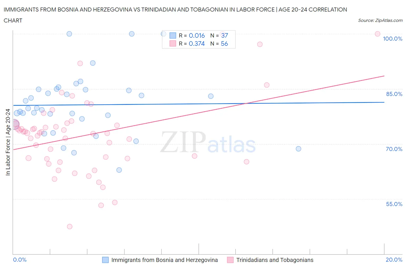Immigrants from Bosnia and Herzegovina vs Trinidadian and Tobagonian In Labor Force | Age 20-24