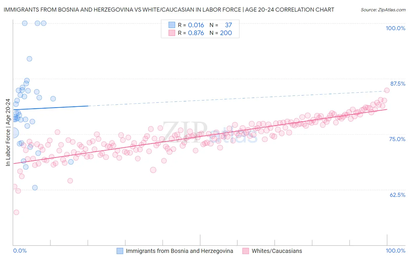 Immigrants from Bosnia and Herzegovina vs White/Caucasian In Labor Force | Age 20-24