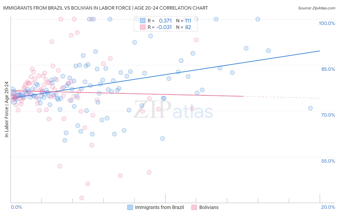 Immigrants from Brazil vs Bolivian In Labor Force | Age 20-24