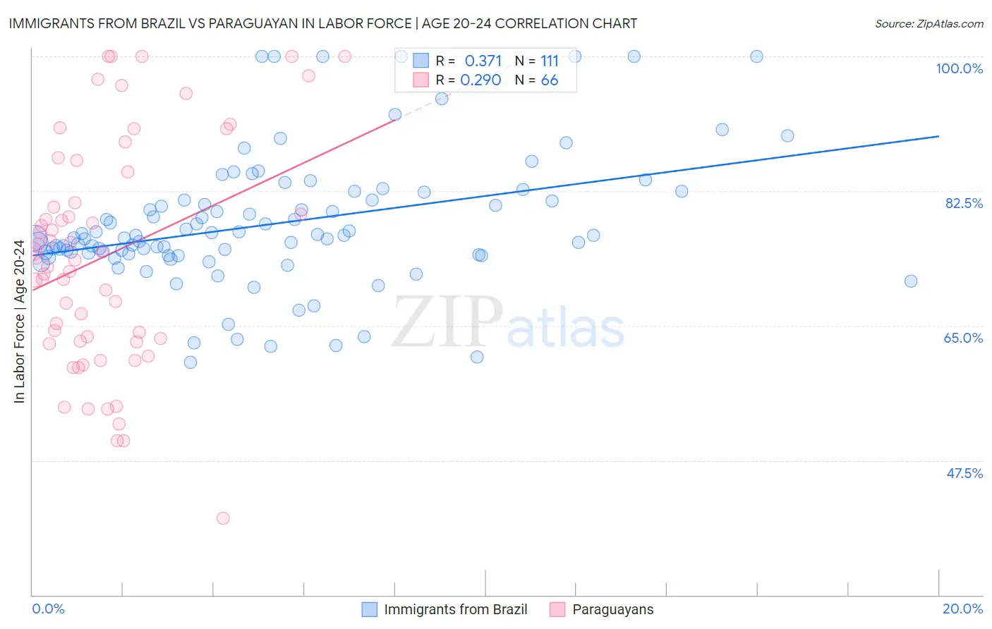 Immigrants from Brazil vs Paraguayan In Labor Force | Age 20-24