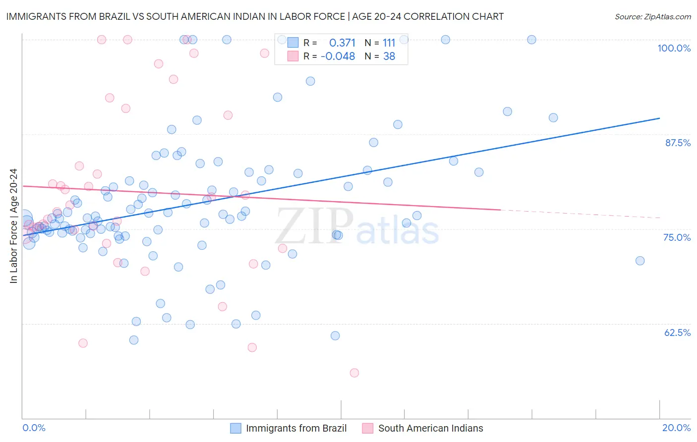 Immigrants from Brazil vs South American Indian In Labor Force | Age 20-24