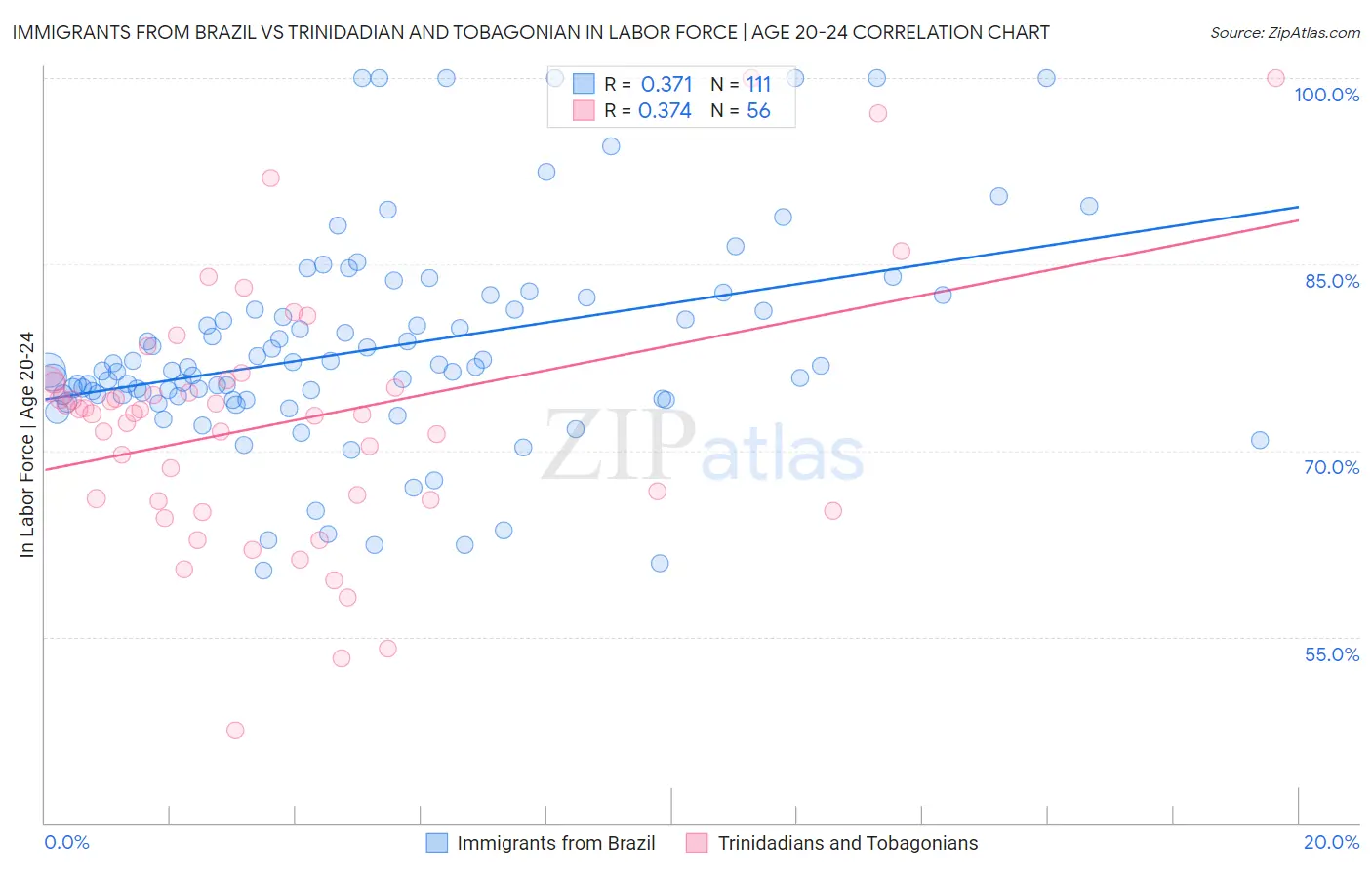 Immigrants from Brazil vs Trinidadian and Tobagonian In Labor Force | Age 20-24