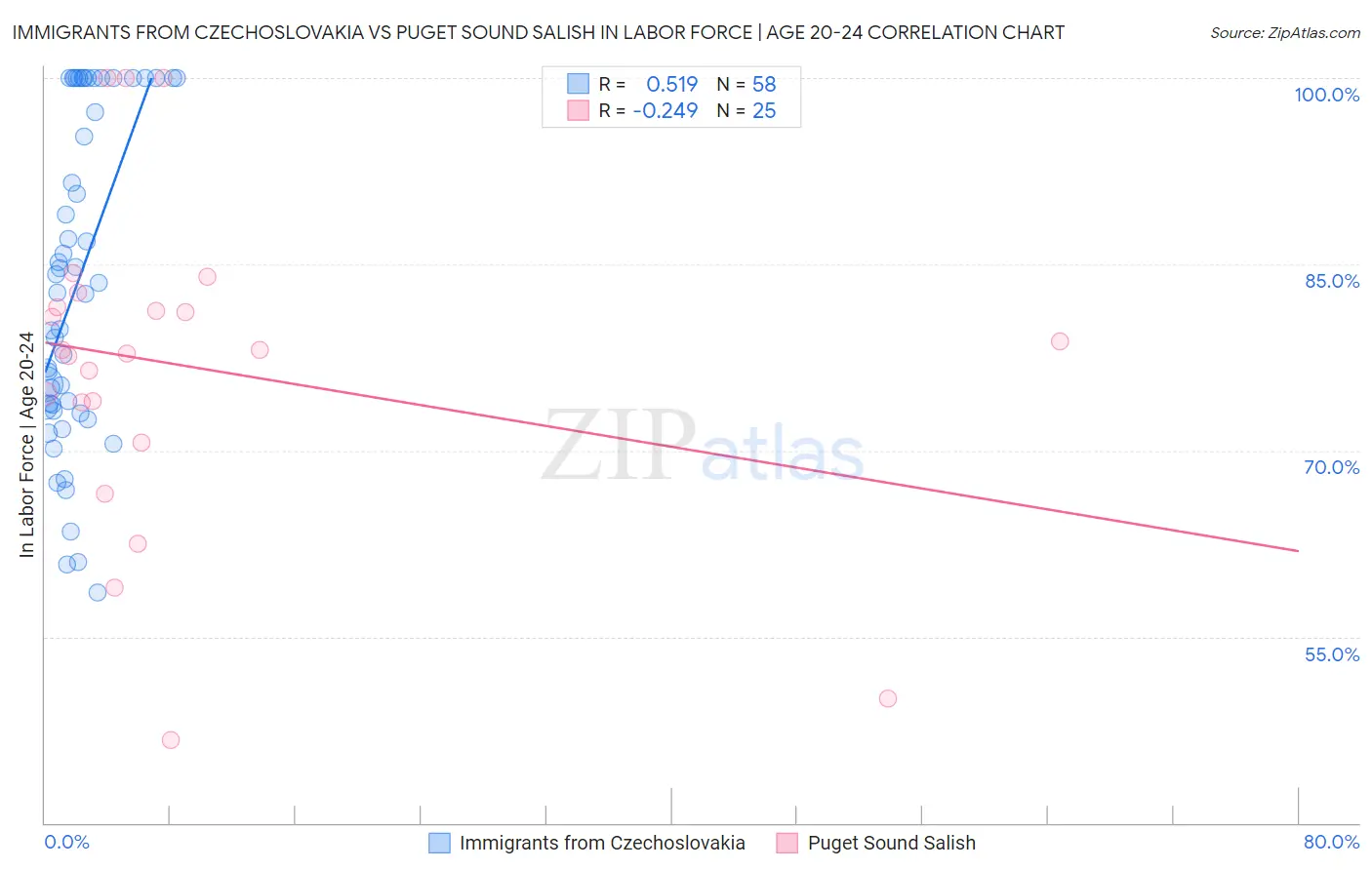 Immigrants from Czechoslovakia vs Puget Sound Salish In Labor Force | Age 20-24