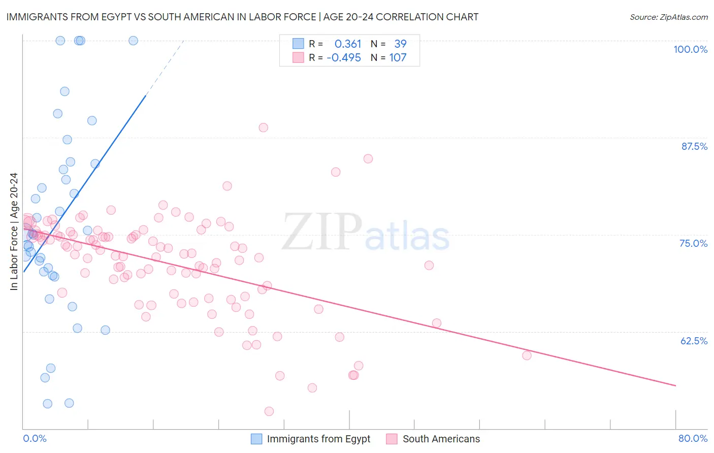 Immigrants from Egypt vs South American In Labor Force | Age 20-24
