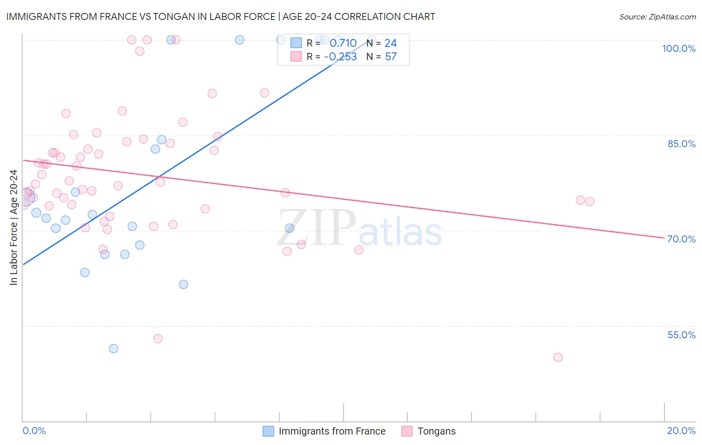 Immigrants from France vs Tongan In Labor Force | Age 20-24