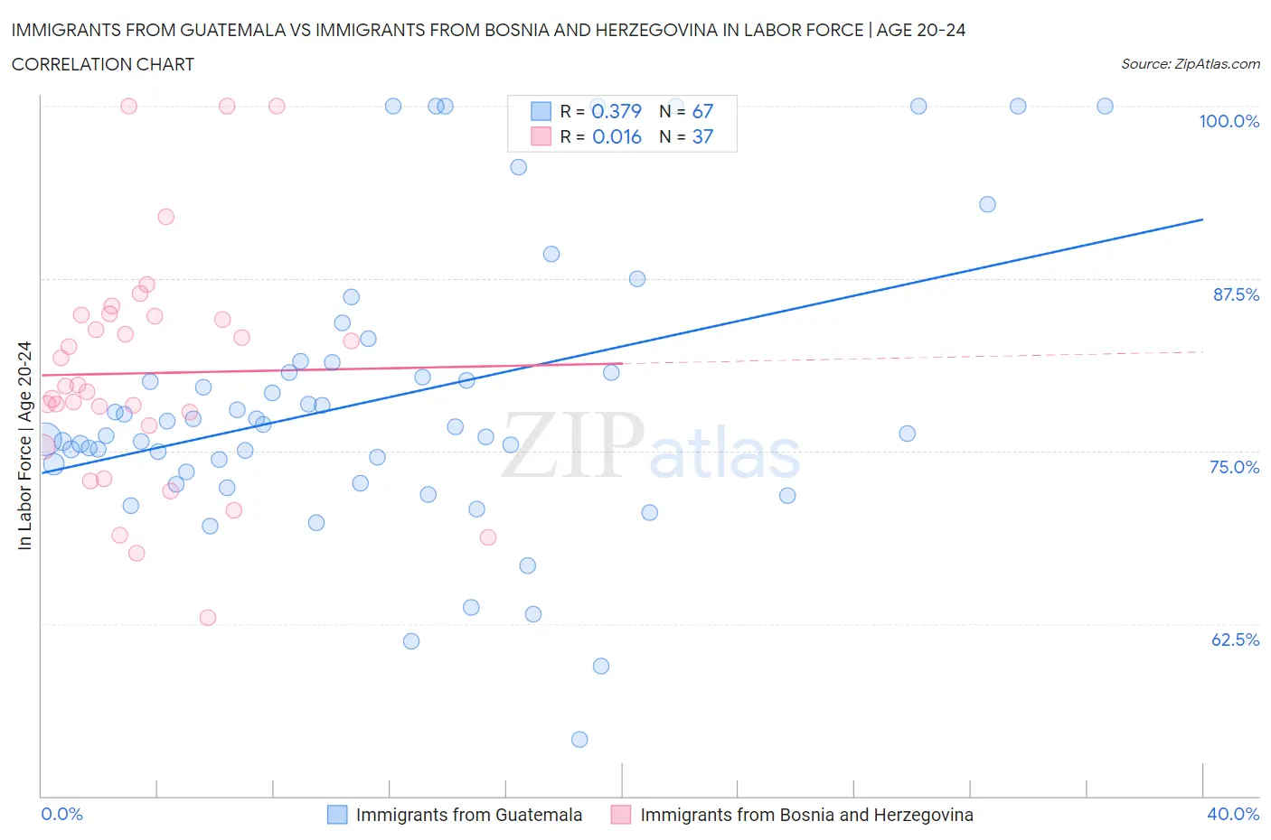 Immigrants from Guatemala vs Immigrants from Bosnia and Herzegovina In Labor Force | Age 20-24