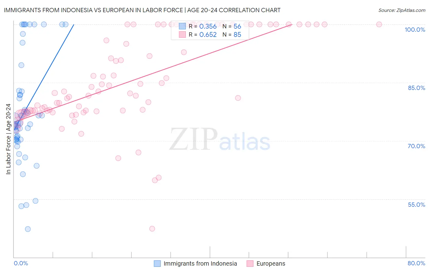 Immigrants from Indonesia vs European In Labor Force | Age 20-24