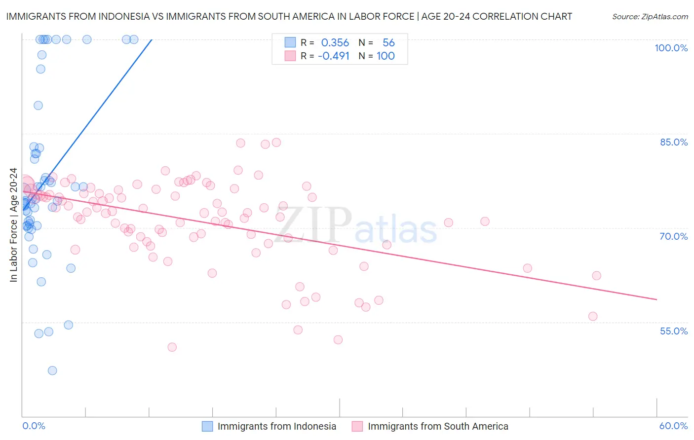 Immigrants from Indonesia vs Immigrants from South America In Labor Force | Age 20-24