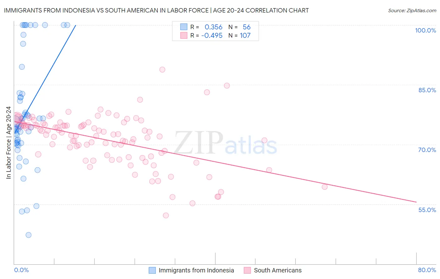 Immigrants from Indonesia vs South American In Labor Force | Age 20-24