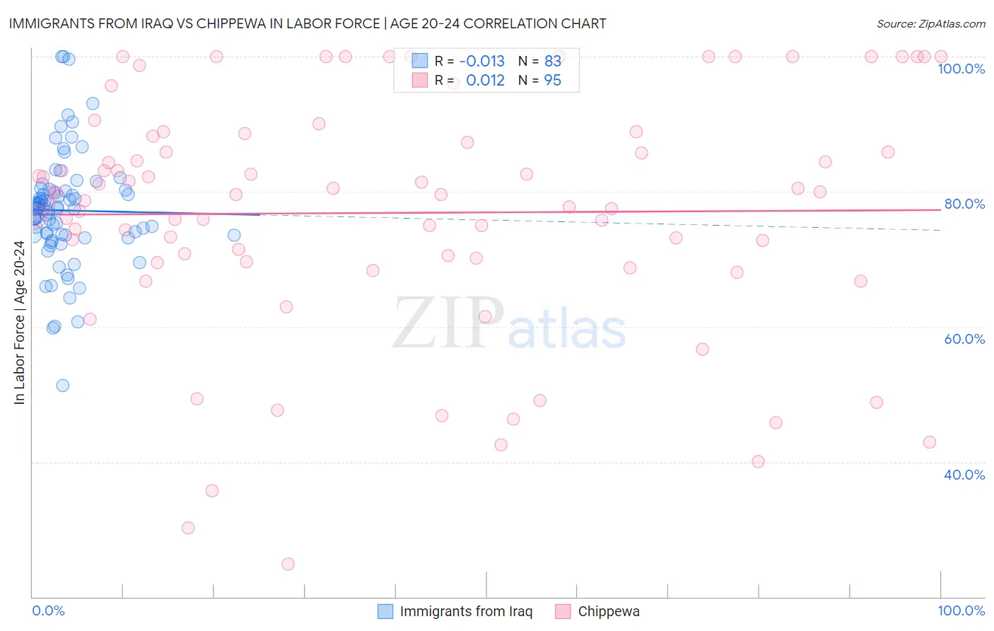 Immigrants from Iraq vs Chippewa In Labor Force | Age 20-24