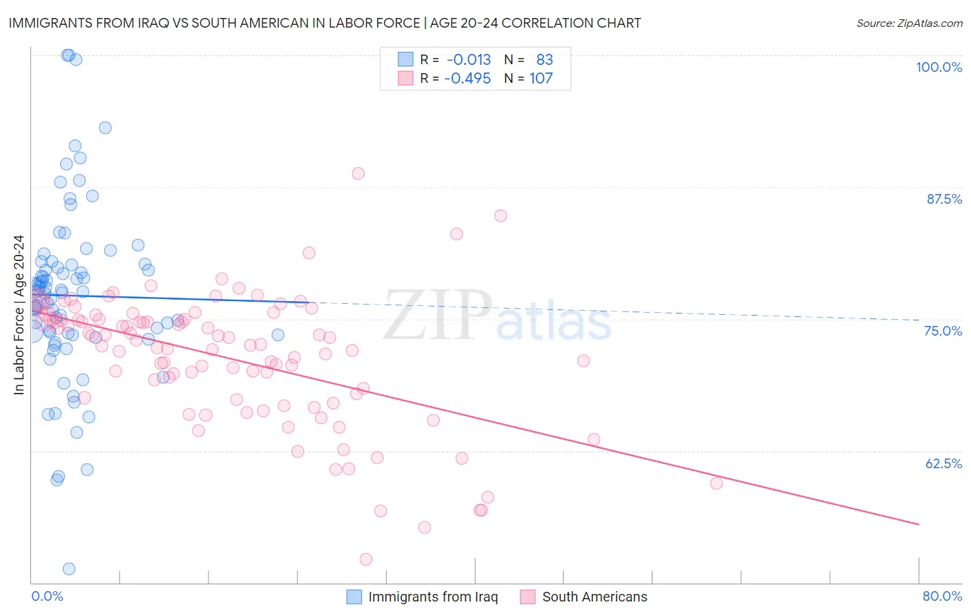 Immigrants from Iraq vs South American In Labor Force | Age 20-24