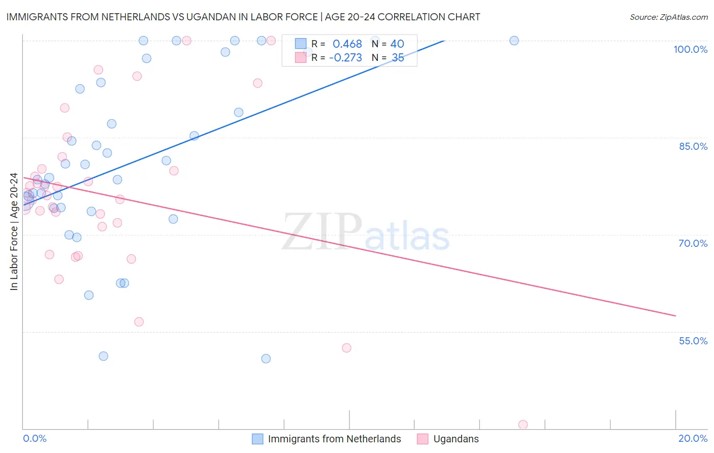 Immigrants from Netherlands vs Ugandan In Labor Force | Age 20-24