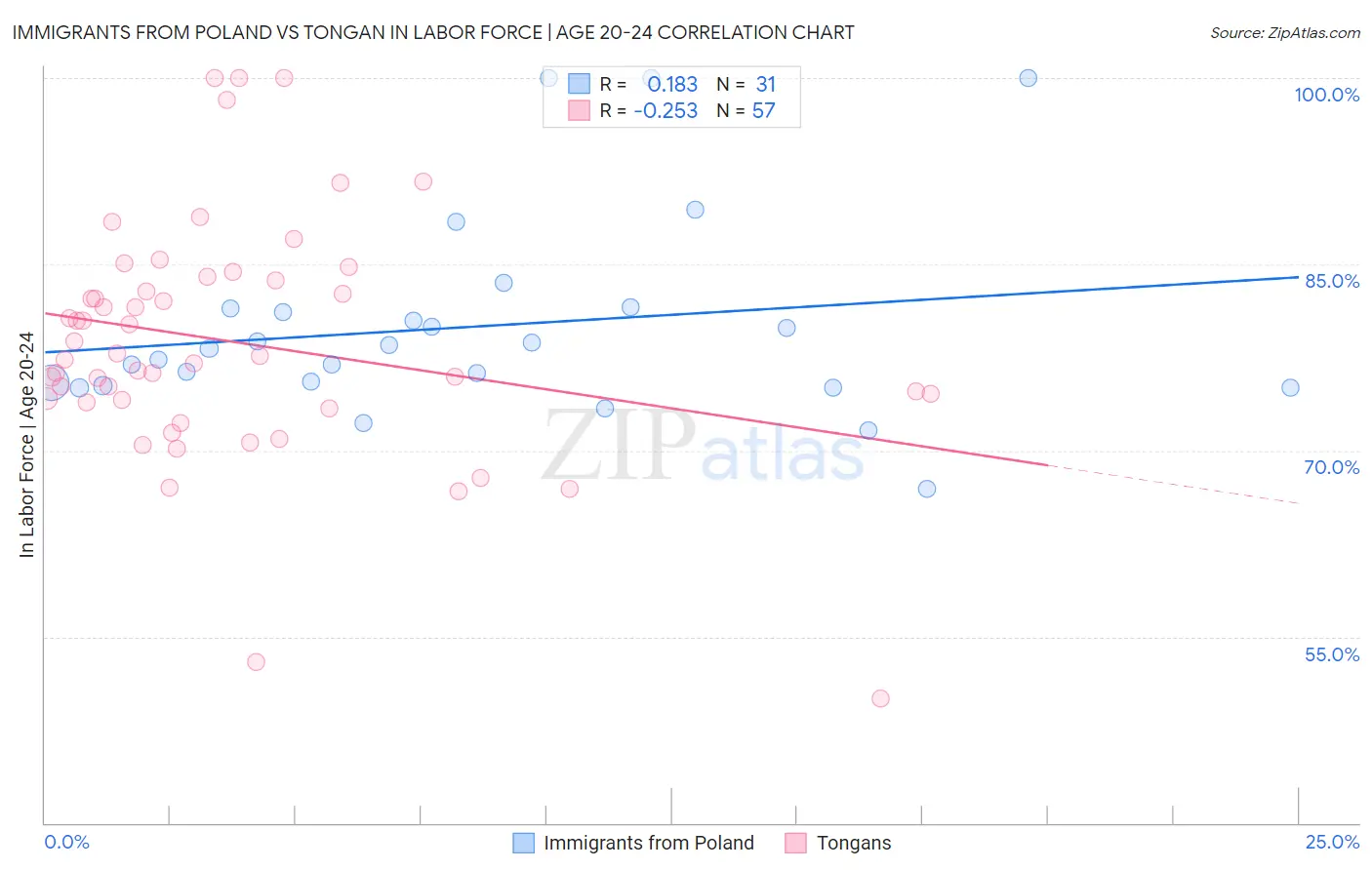 Immigrants from Poland vs Tongan In Labor Force | Age 20-24