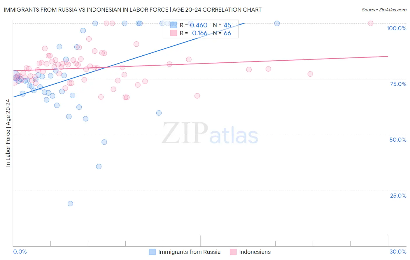 Immigrants from Russia vs Indonesian In Labor Force | Age 20-24