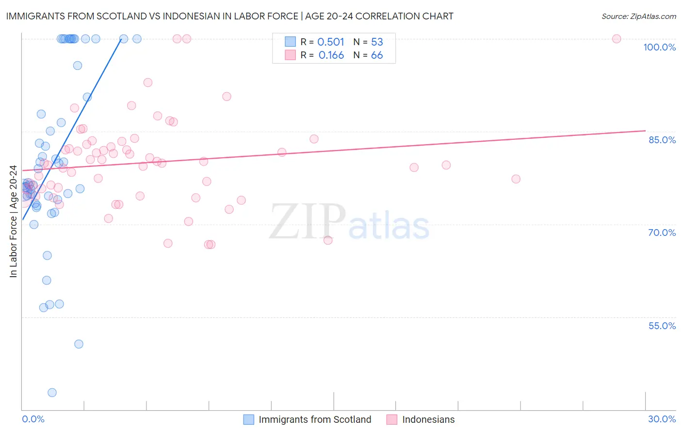 Immigrants from Scotland vs Indonesian In Labor Force | Age 20-24