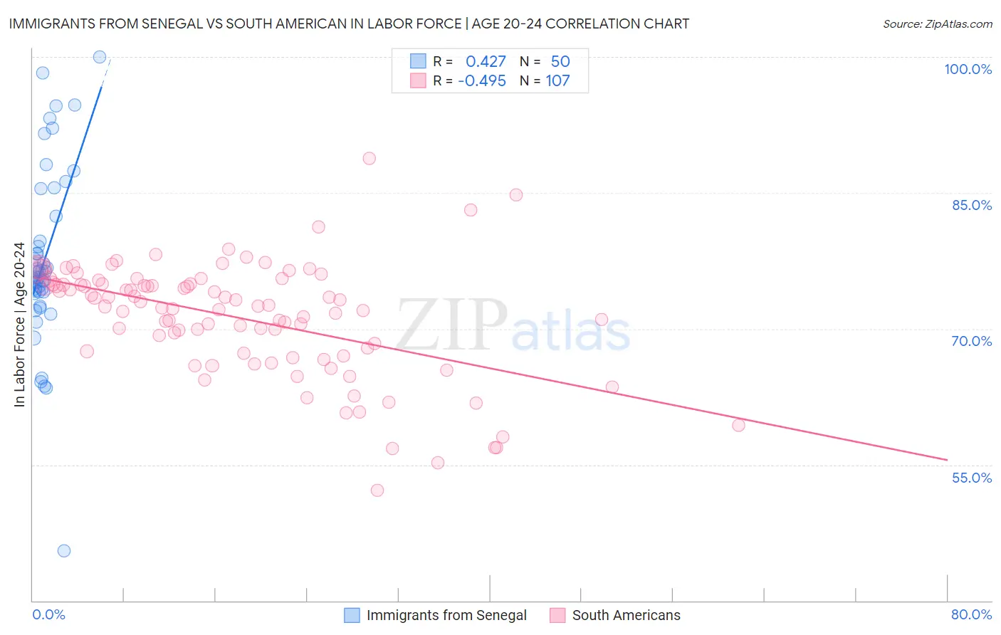 Immigrants from Senegal vs South American In Labor Force | Age 20-24