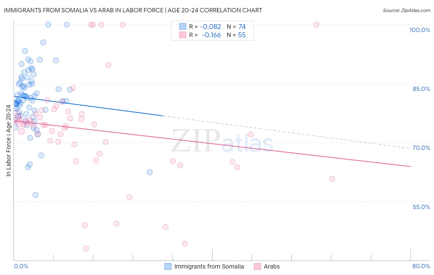 Immigrants from Somalia vs Arab In Labor Force | Age 20-24