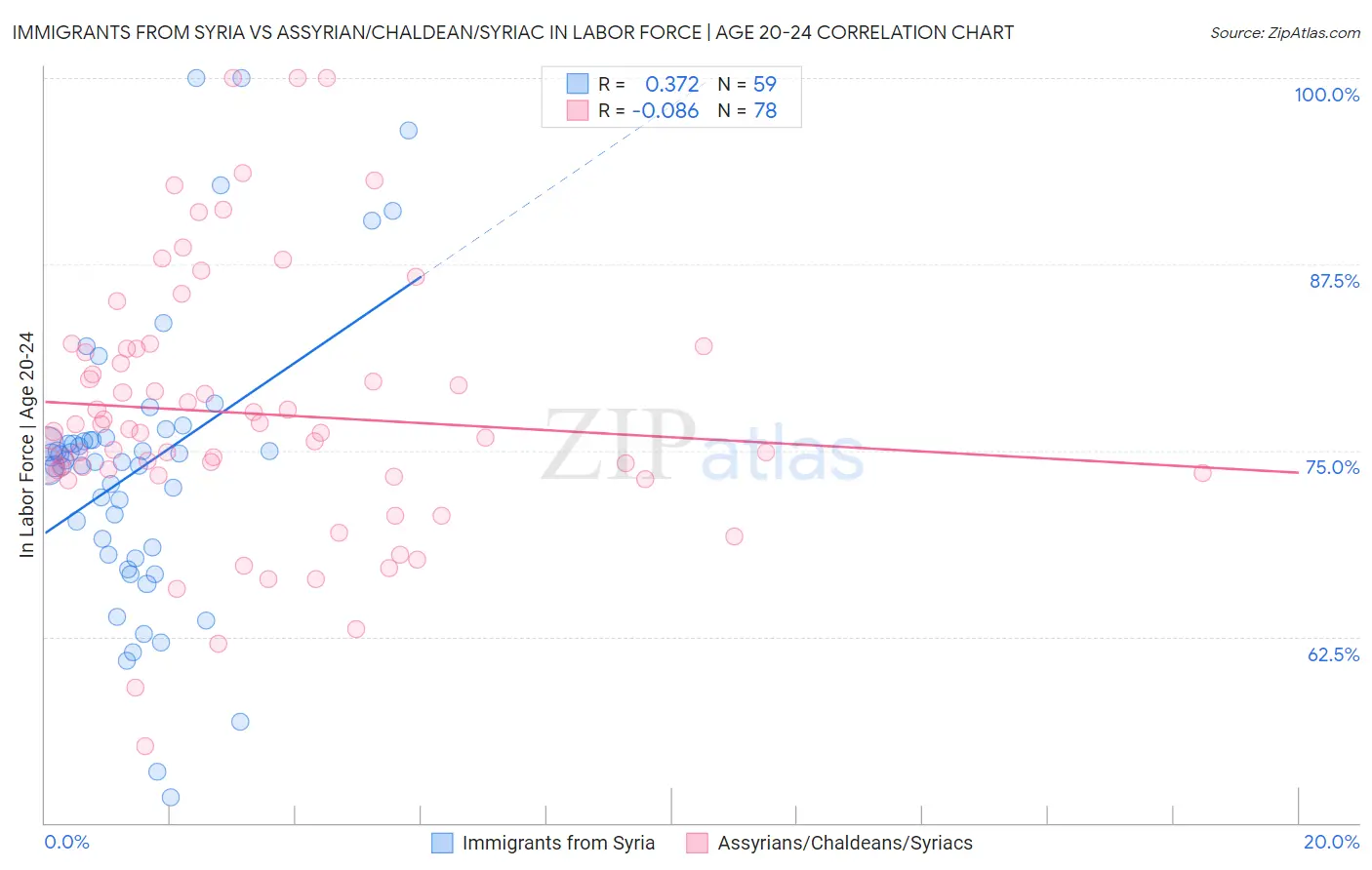 Immigrants from Syria vs Assyrian/Chaldean/Syriac In Labor Force | Age 20-24