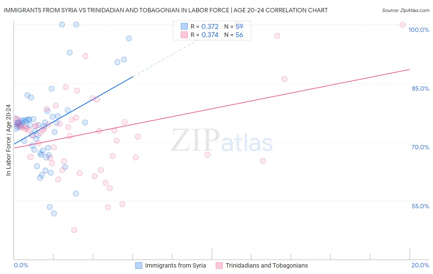 Immigrants from Syria vs Trinidadian and Tobagonian In Labor Force | Age 20-24