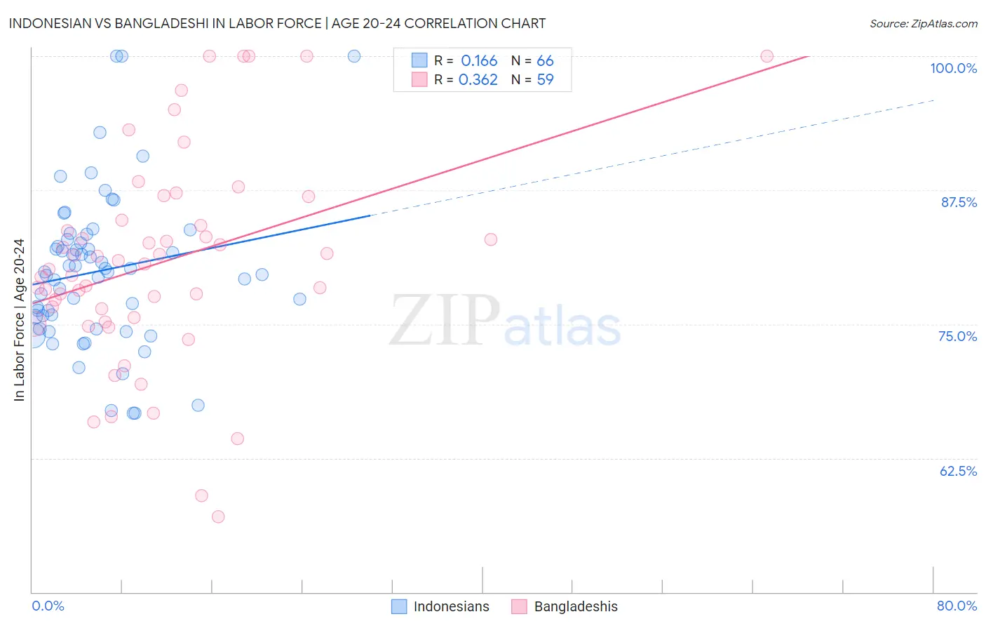 Indonesian vs Bangladeshi In Labor Force | Age 20-24