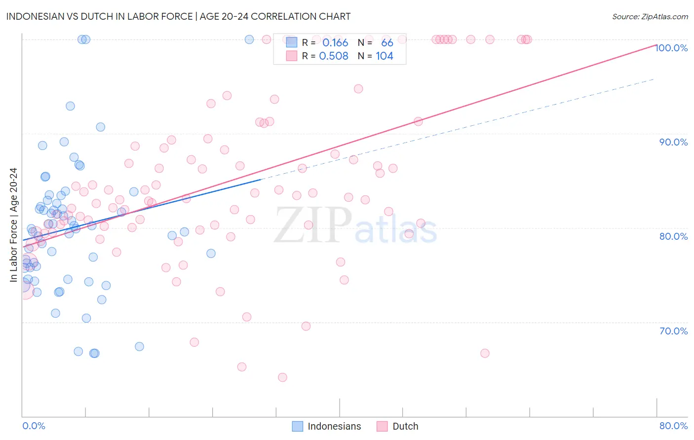 Indonesian vs Dutch In Labor Force | Age 20-24