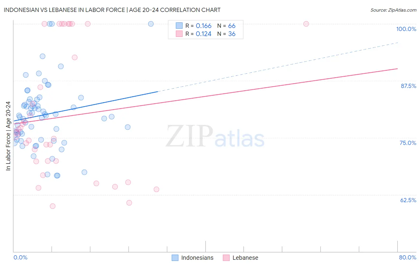 Indonesian vs Lebanese In Labor Force | Age 20-24