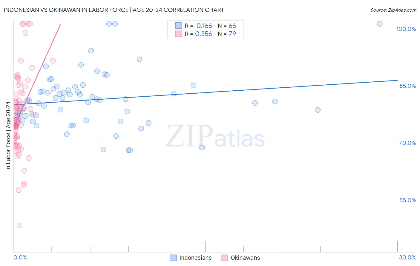 Indonesian vs Okinawan In Labor Force | Age 20-24