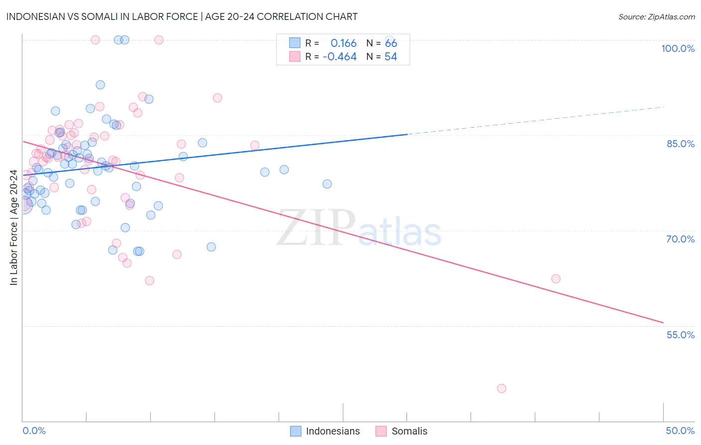 Indonesian vs Somali In Labor Force | Age 20-24