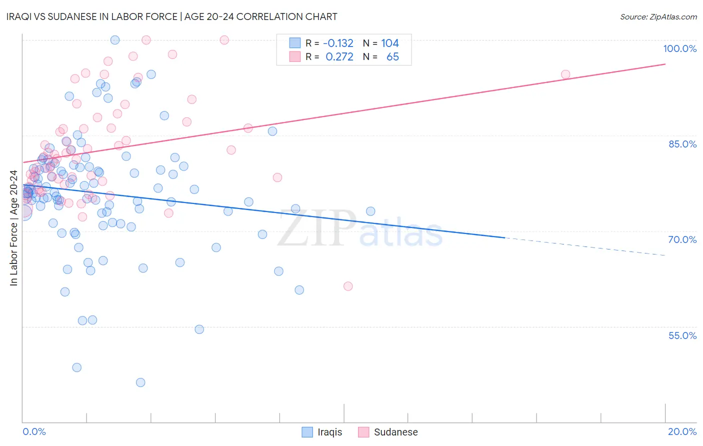 Iraqi vs Sudanese In Labor Force | Age 20-24