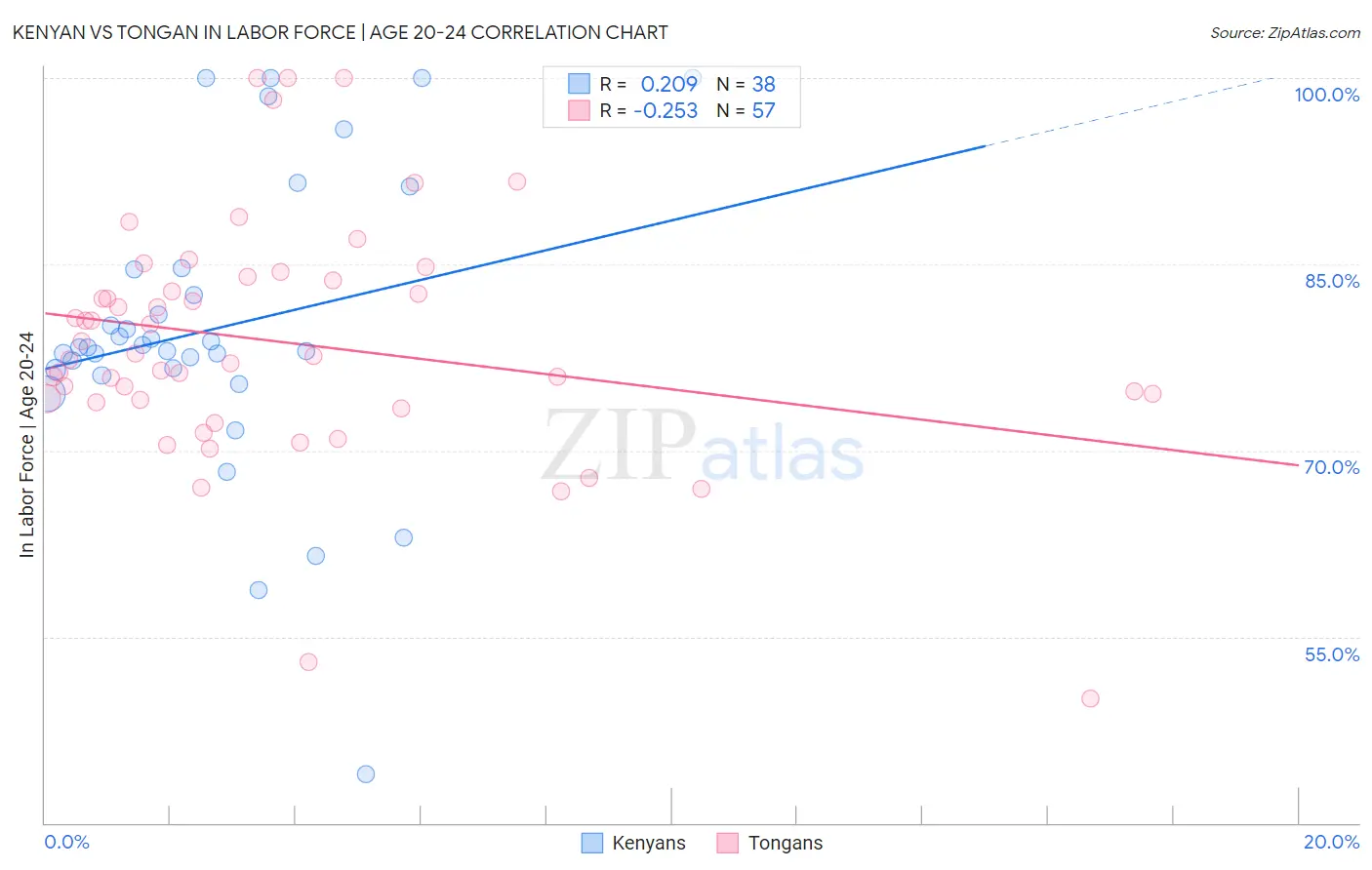 Kenyan vs Tongan In Labor Force | Age 20-24