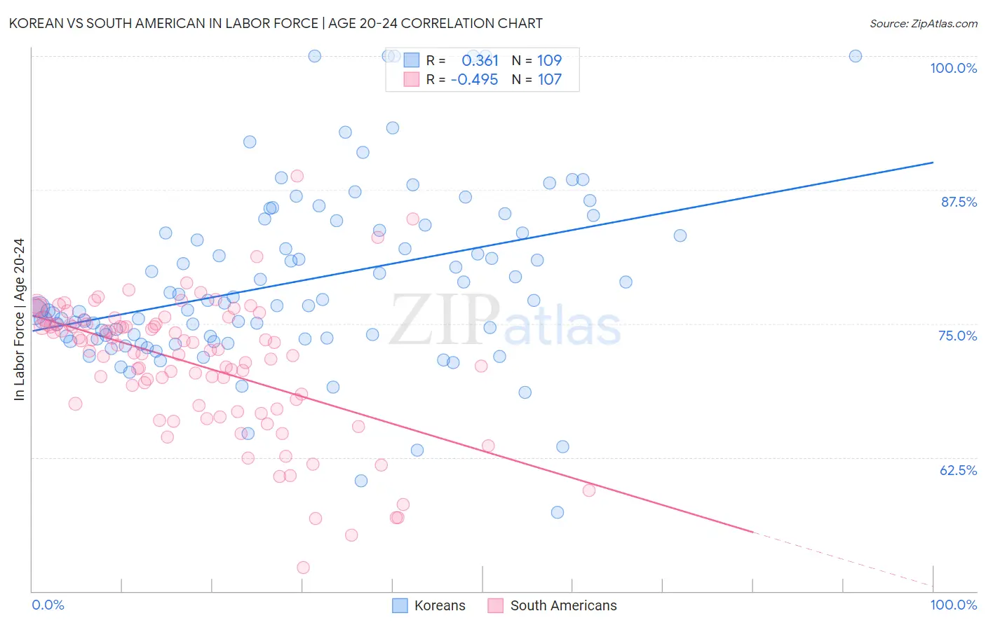 Korean vs South American In Labor Force | Age 20-24