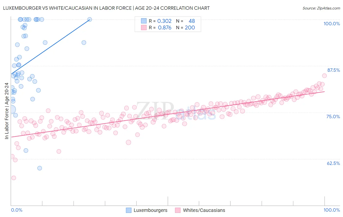 Luxembourger vs White/Caucasian In Labor Force | Age 20-24