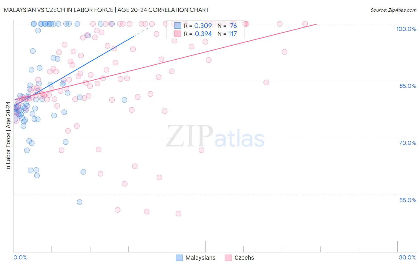 Malaysian vs Czech In Labor Force | Age 20-24