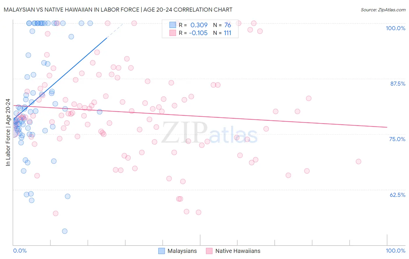 Malaysian vs Native Hawaiian In Labor Force | Age 20-24