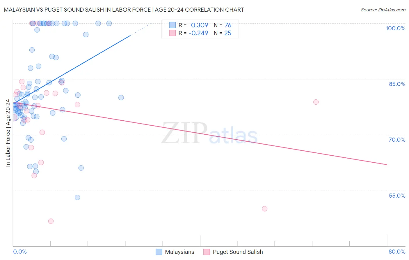 Malaysian vs Puget Sound Salish In Labor Force | Age 20-24