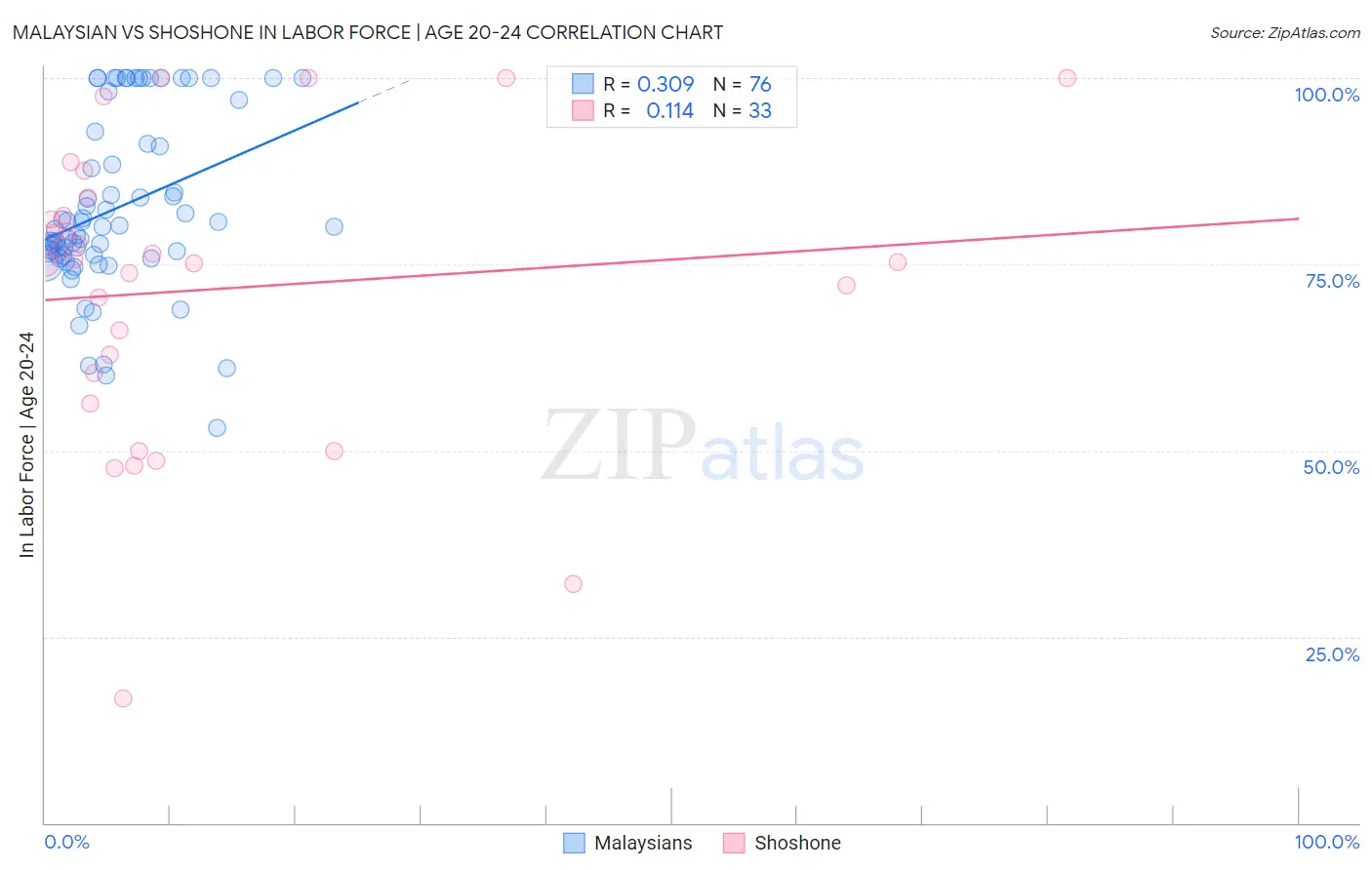 Malaysian vs Shoshone In Labor Force | Age 20-24