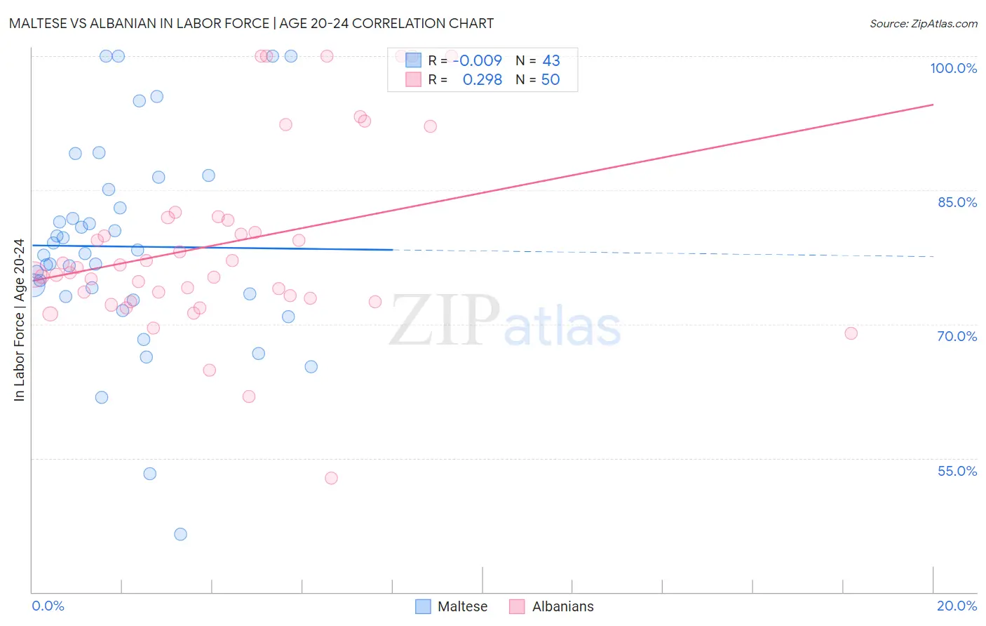 Maltese vs Albanian In Labor Force | Age 20-24