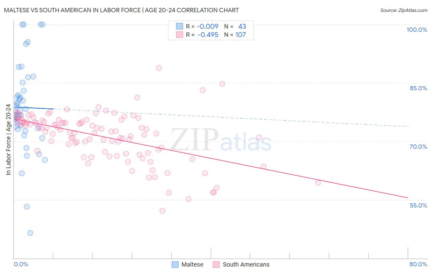 Maltese vs South American In Labor Force | Age 20-24