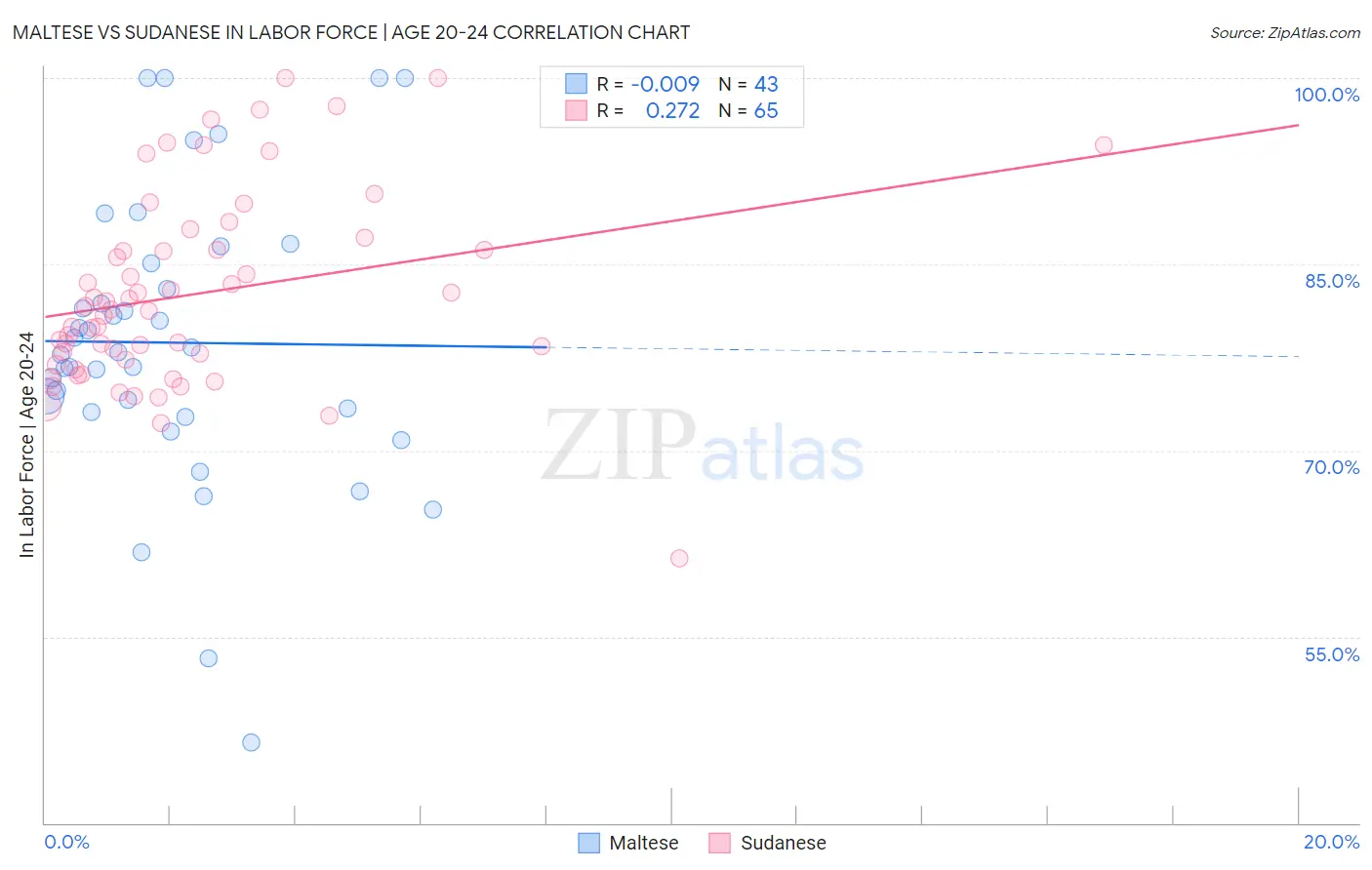 Maltese vs Sudanese In Labor Force | Age 20-24