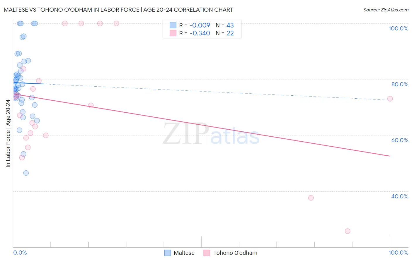 Maltese vs Tohono O'odham In Labor Force | Age 20-24