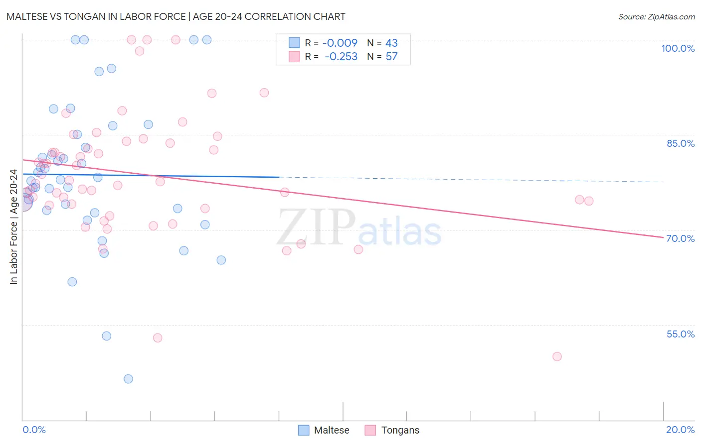 Maltese vs Tongan In Labor Force | Age 20-24