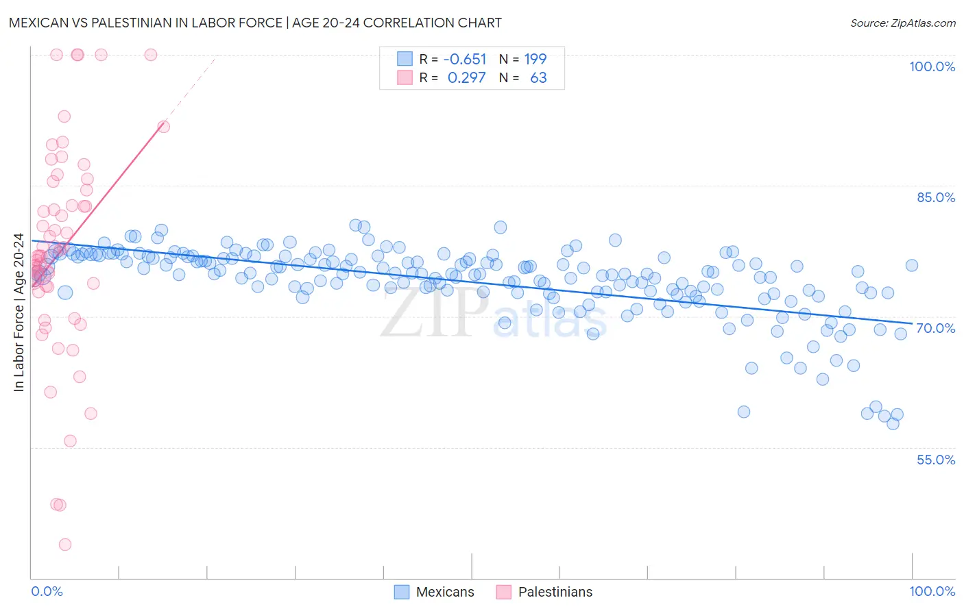 Mexican vs Palestinian In Labor Force | Age 20-24