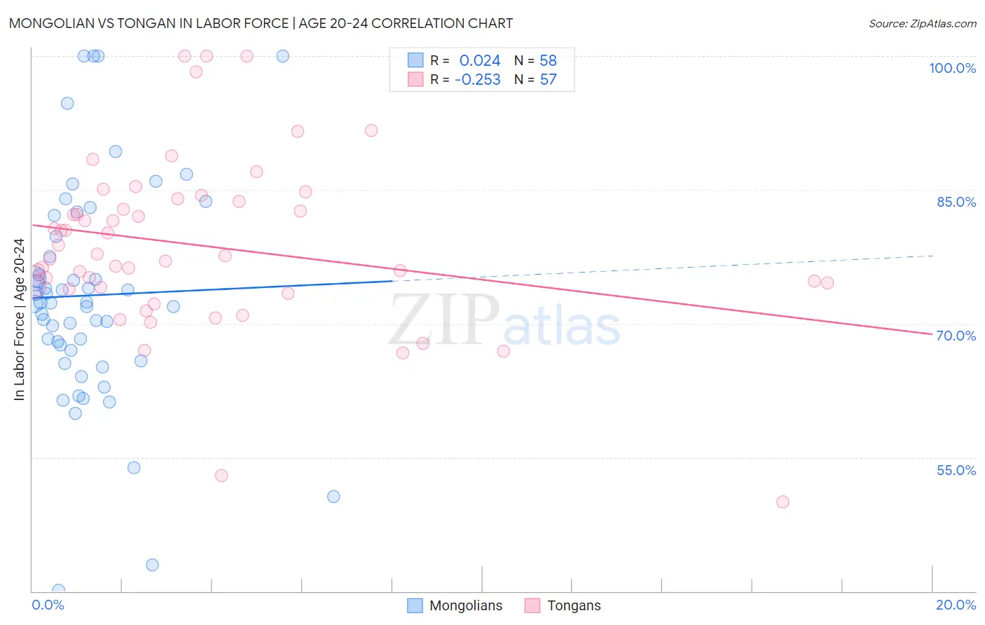 Mongolian vs Tongan In Labor Force | Age 20-24