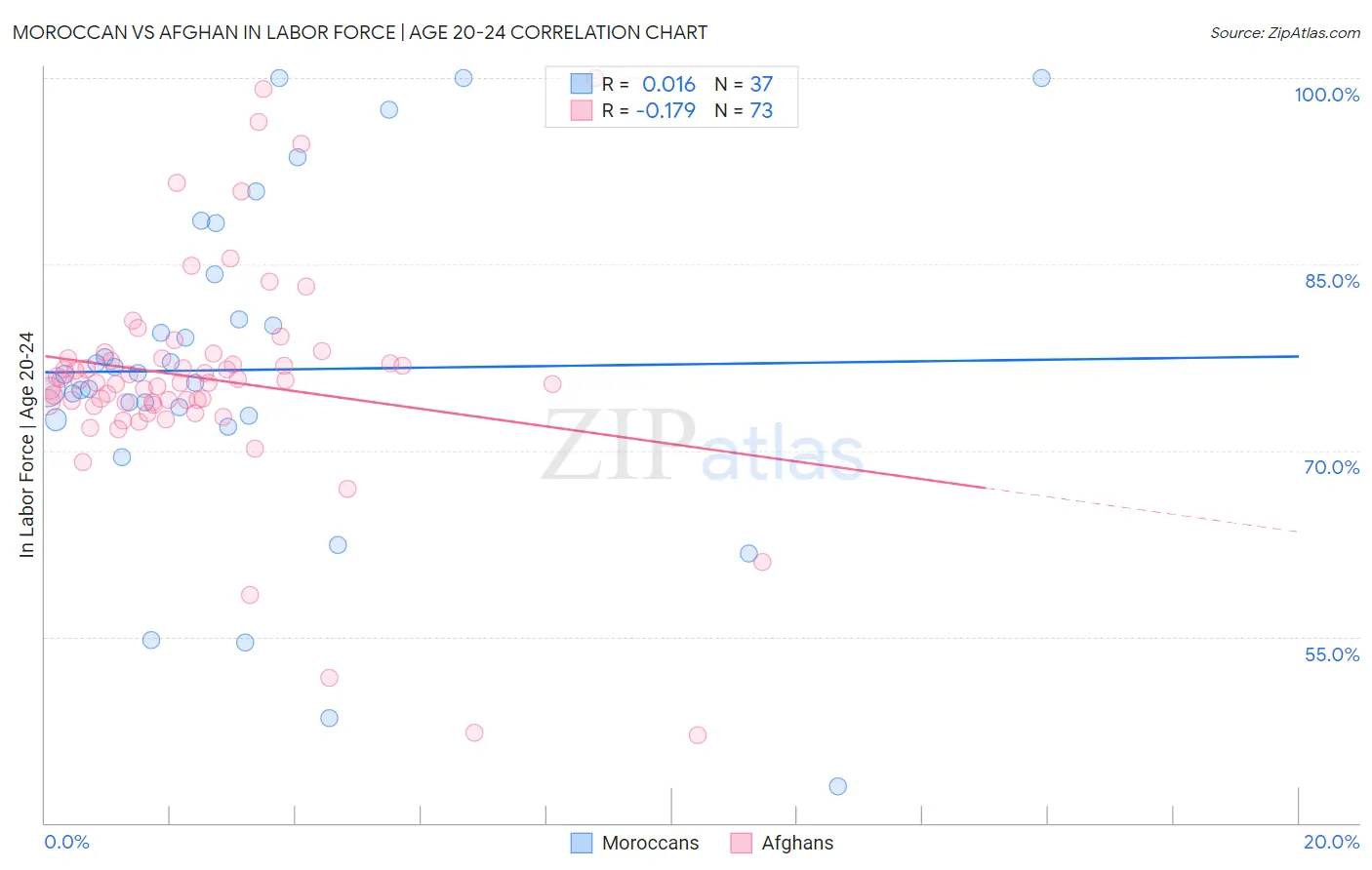 Moroccan vs Afghan In Labor Force | Age 20-24